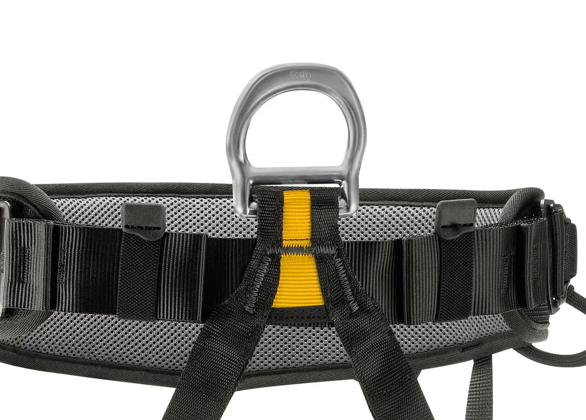 FALCON - Image 6