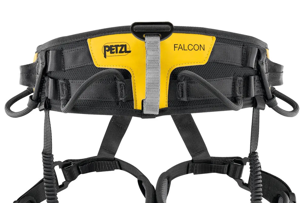 FALCON - Image 5