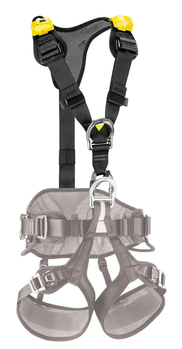TOP - Image 5